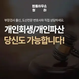 부장검사출신 개인회생 법률사무소 청하 제휴 전문가